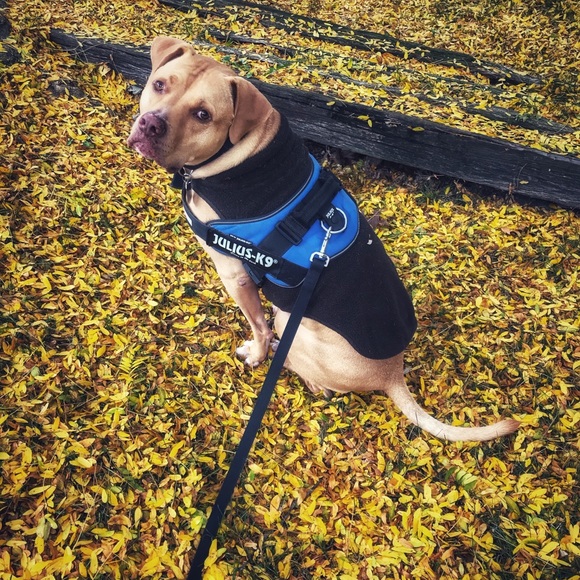 Meet Your Posher - Picture 4 of 6